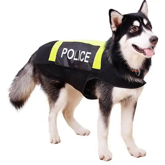 Huskies can be used as police dogs